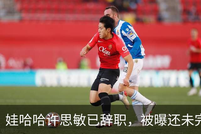 娃哈哈许思敏已辞职，被曝还未完全离开公司！知情人士：接任董事长人选尚未有确切消息