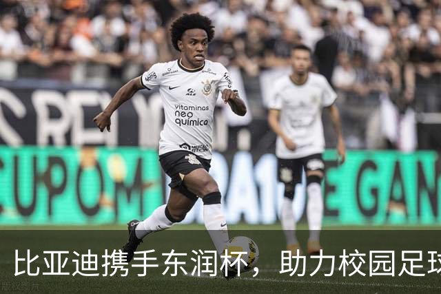 比亚迪携手东润杯，助力校园足球少年圆梦工体