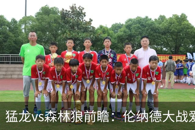 猛龙vs森林狼前瞻：伦纳德大战爱德华兹，一场不同风格的强硬对决