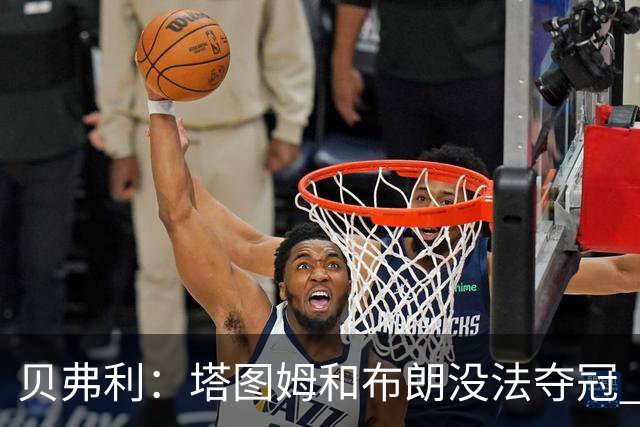 贝弗利：塔图姆和布朗没法夺冠 他俩不够互补