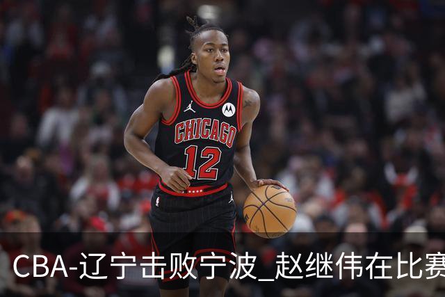 CBA-辽宁击败宁波 赵继伟在比赛中